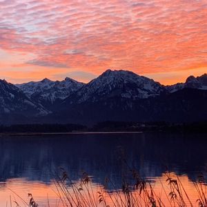 Meet your Posher, Daiva